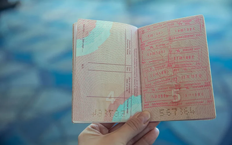 Türkiye Visa Fees and Processing Times (2026)